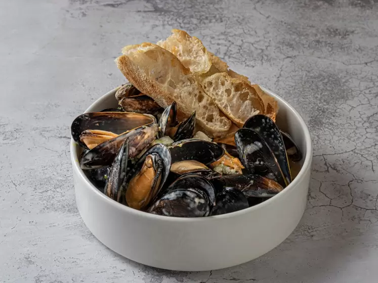 Мидии в сливочном соусе с сыром дорблю